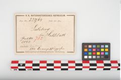 Etikett zu Bronzegewandbesatzknöpfchen (NHMW-PRAE-025964)